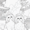 2 História do Shih Tzu Para Colorir