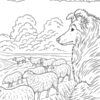 3 História do Collie Para Colorir