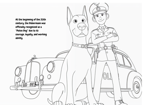 8 História do Dobermann Para Colorir